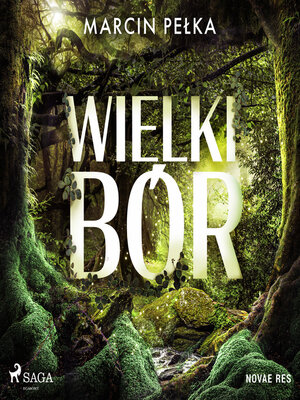cover image of Wielki Bór